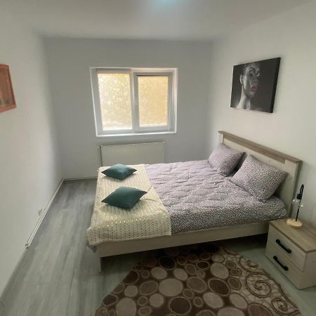Apartment Dabic Remote And Fun Braşov Exterior foto