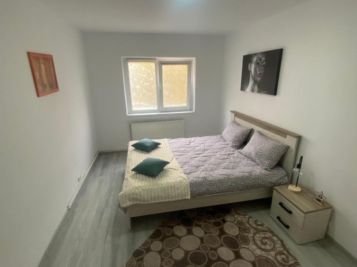 Apartment Dabic Remote And Fun Braşov Exterior foto