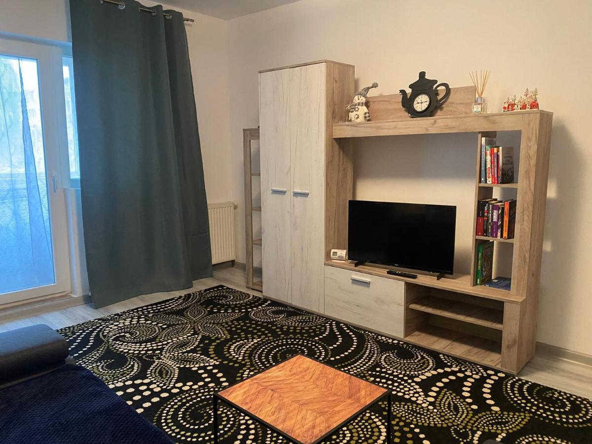 Apartment Dabic Remote And Fun Braşov Exterior foto